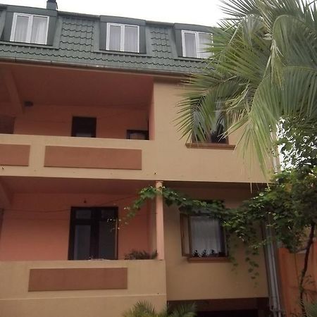 סארפי Temo'S Guesthouse מראה חיצוני תמונה