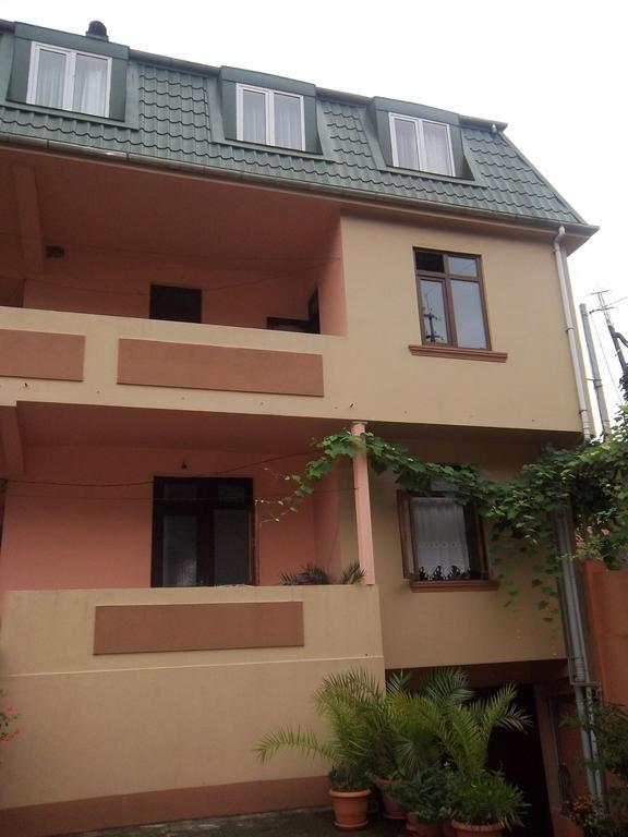 סארפי Temo'S Guesthouse מראה חיצוני תמונה