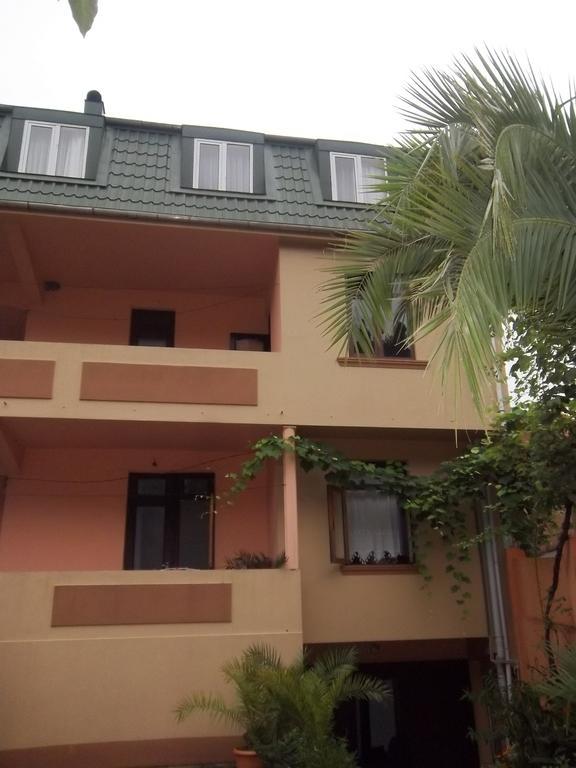 סארפי Temo'S Guesthouse מראה חיצוני תמונה
